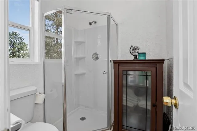 104 Pinon Road Bailey, CO 80421