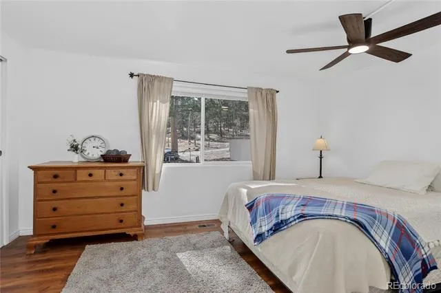 104 Pinon Road Bailey, CO 80421