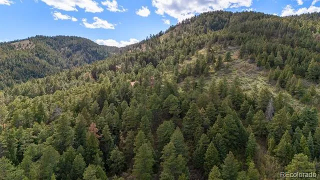 15947 S Perry Park Road Palmer Lake, CO 80133