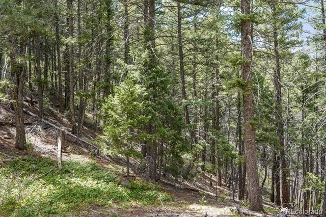 15947 S Perry Park Road Palmer Lake, CO 80133