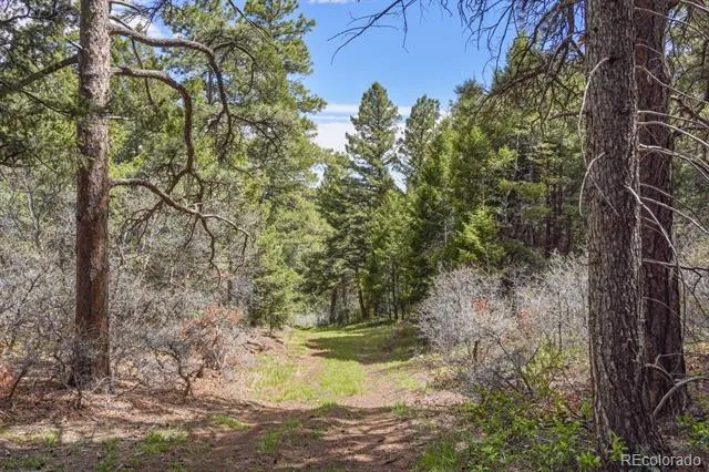 15947 S Perry Park Road Palmer Lake, CO 80133