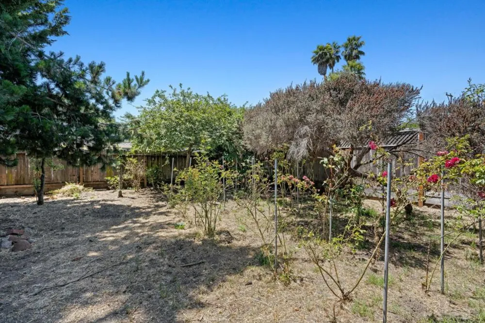 1024 Webster Street Santa Cruz, CA 95062