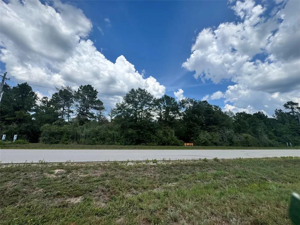 110 Coyote Run Willis, TX 77378