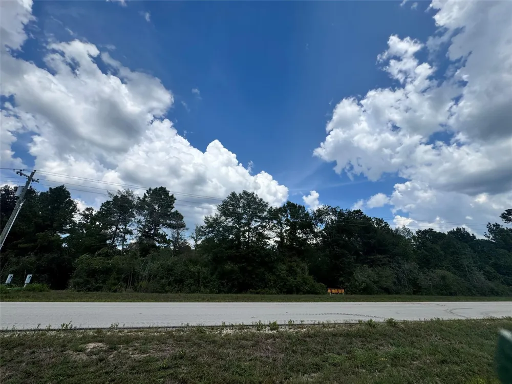 110 Coyote Run Willis, TX 77378