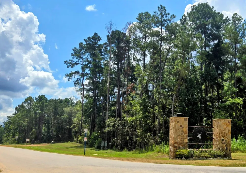 110 Coyote Run Willis, TX 77378