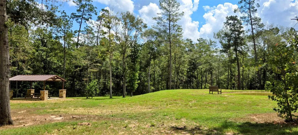 110 Coyote Run Willis, TX 77378