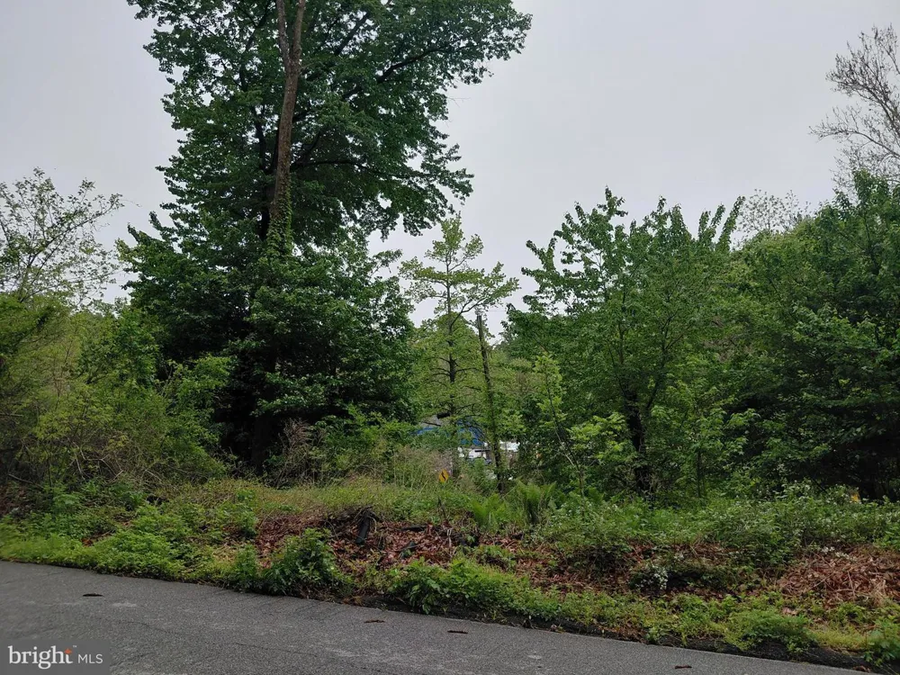 115 PENNELL ROAD Media, PA 19063