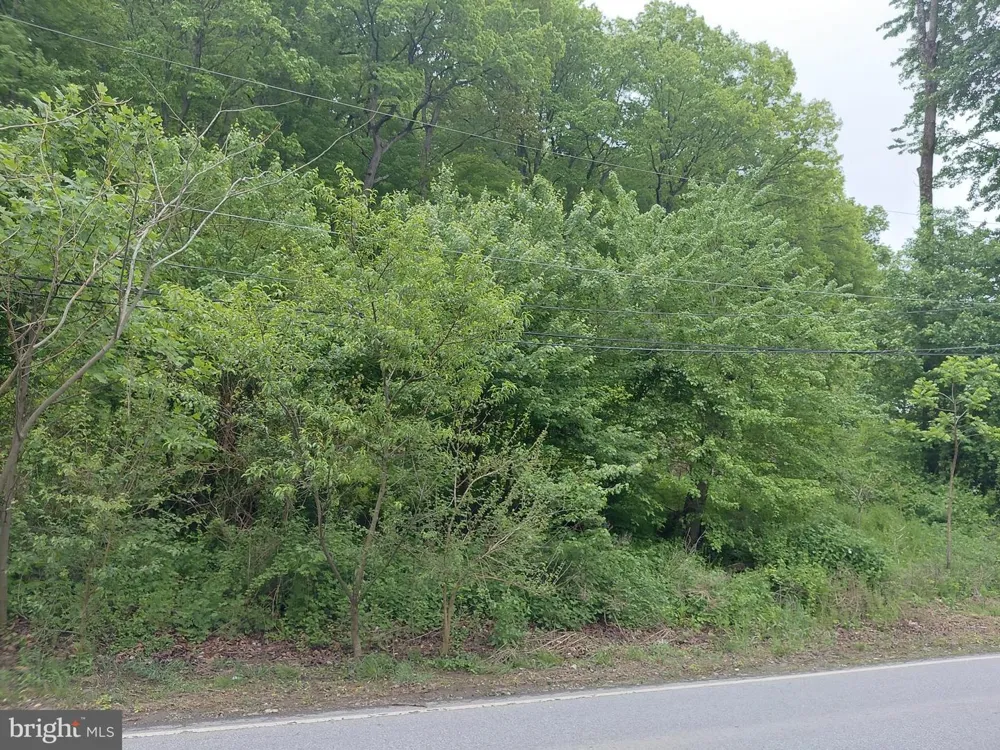 115 PENNELL ROAD Media, PA 19063