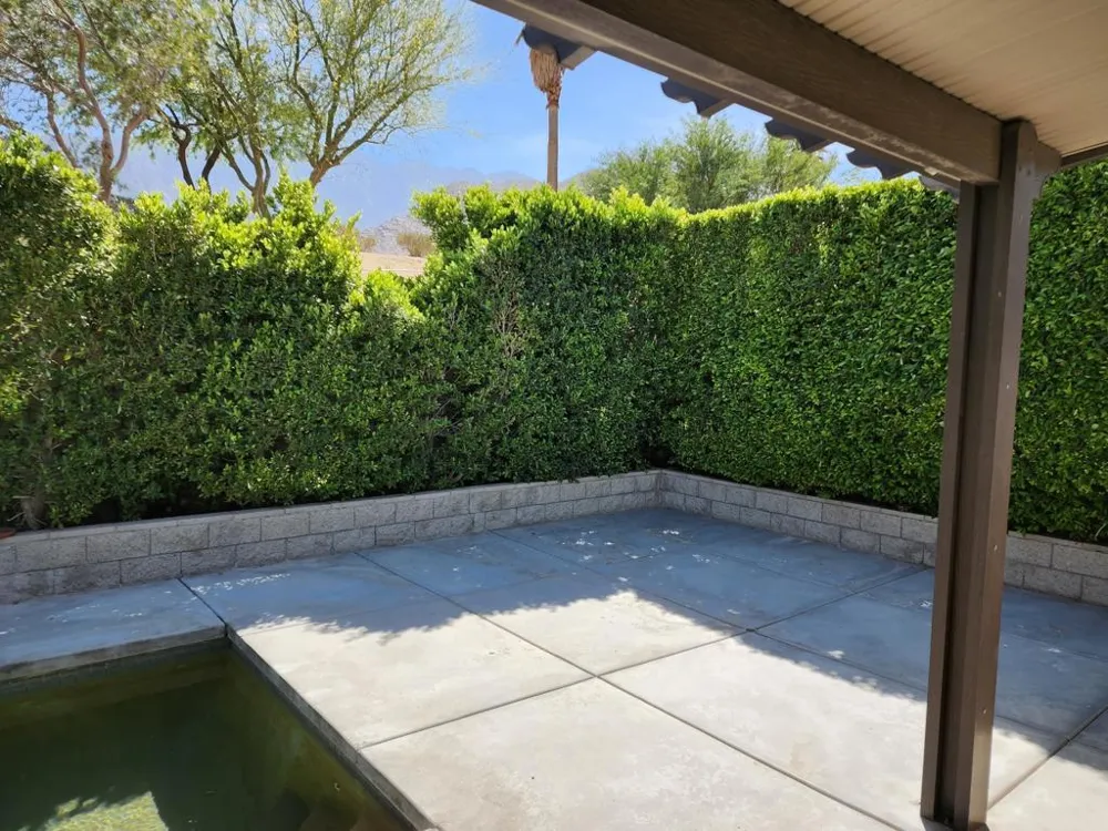 1141 Oro Palm Springs, CA 92262