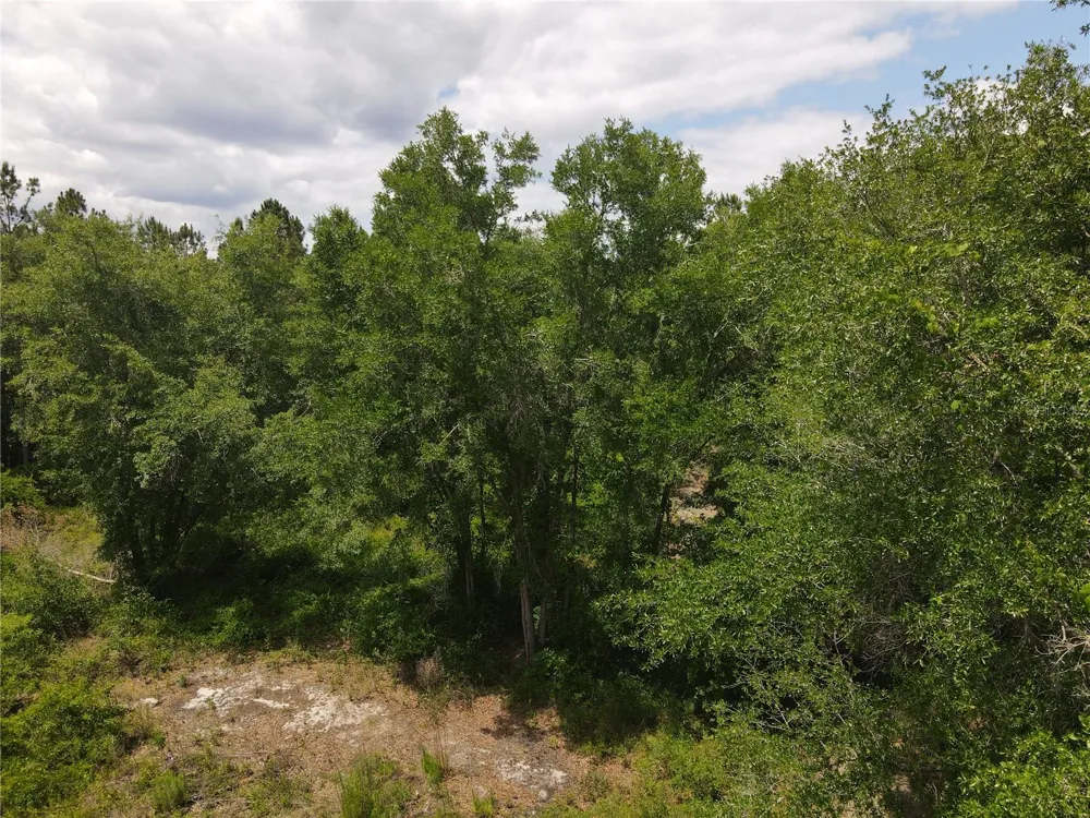 TBD STATE ROAD 121 #1 Alachua, FL 32615