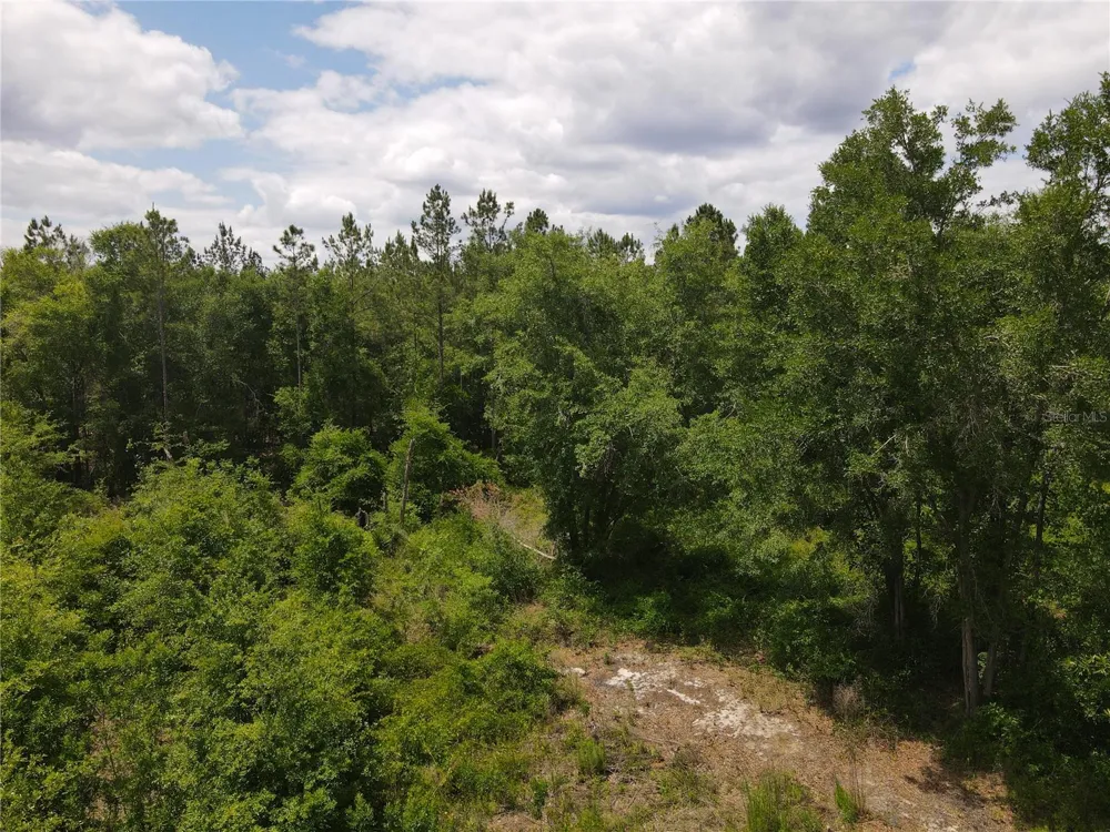 TBD STATE ROAD 121 #1 Alachua, FL 32615