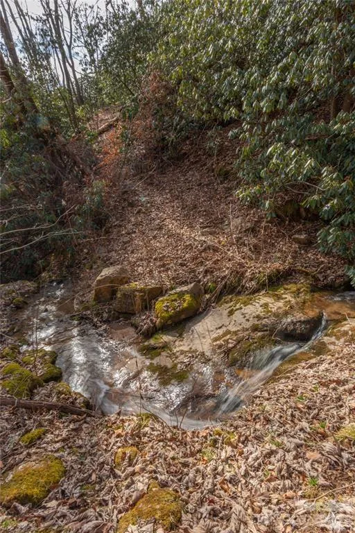 2220 Tract 1 Tilley Creek Road Cullowhee, NC 28723
