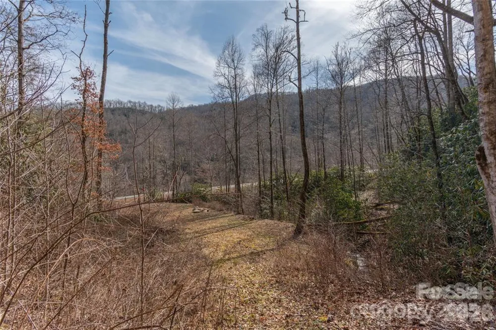 2220 Tract 1 Tilley Creek Road Cullowhee, NC 28723