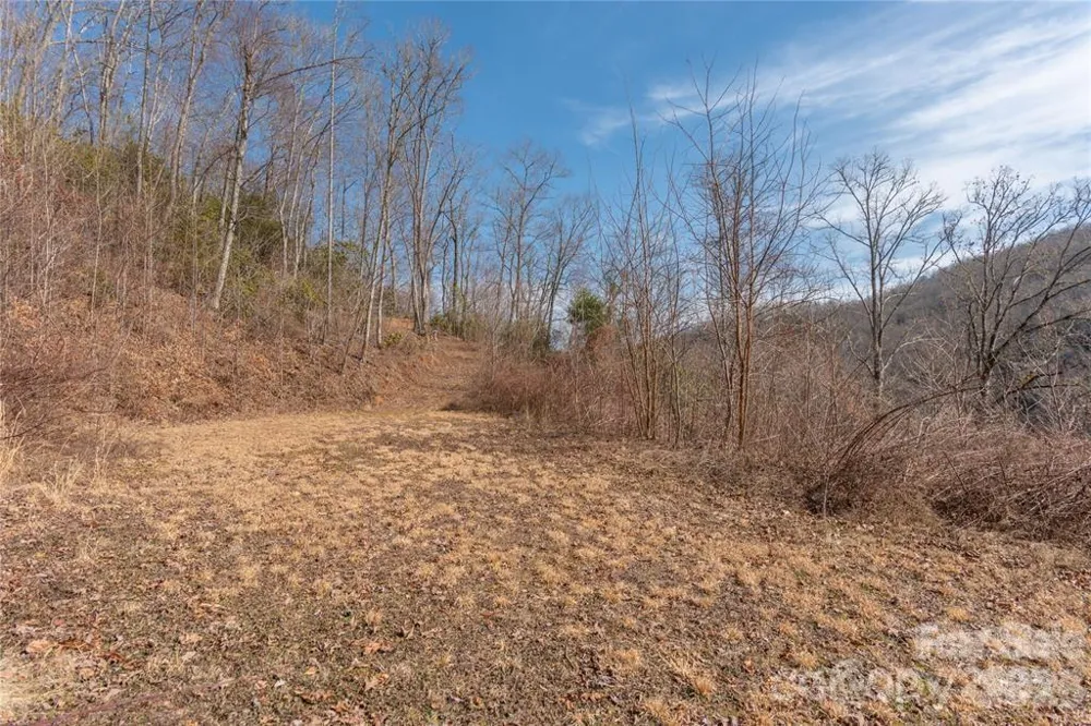 2220 Tract 2 Tilley Creek Road Cullowhee, NC 28723