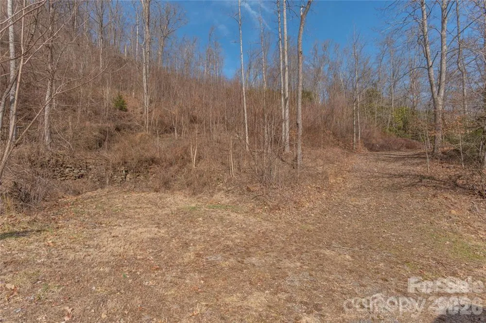 2220 Tract 2 Tilley Creek Road Cullowhee, NC 28723