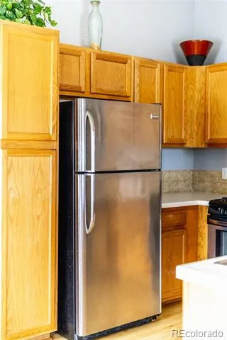3847 Mossy Rock Drive #203 Highlands Ranch, CO 80126