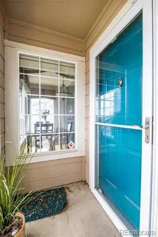 3847 Mossy Rock Drive #203 Highlands Ranch, CO 80126