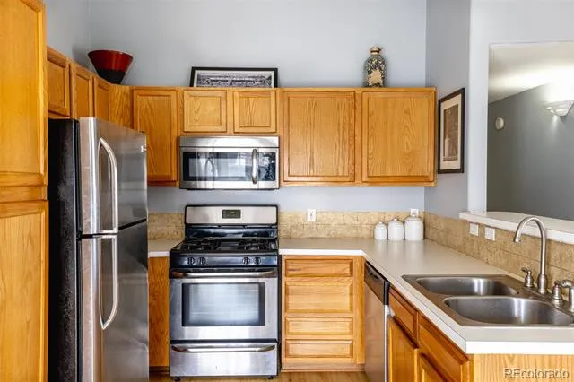 3847 Mossy Rock Drive #203 Highlands Ranch, CO 80126