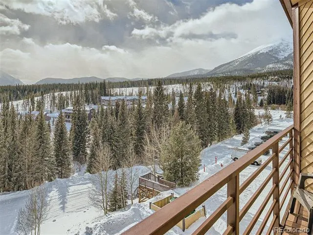 9800 Ryan Gulch Road #302 Silverthorne, CO 80498
