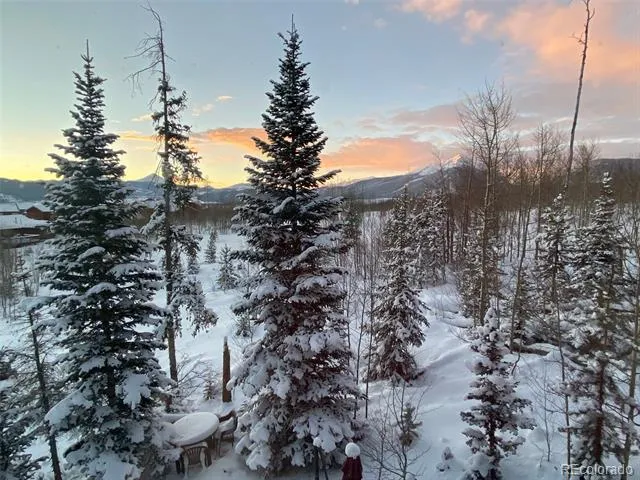 9800 Ryan Gulch Road #302 Silverthorne, CO 80498
