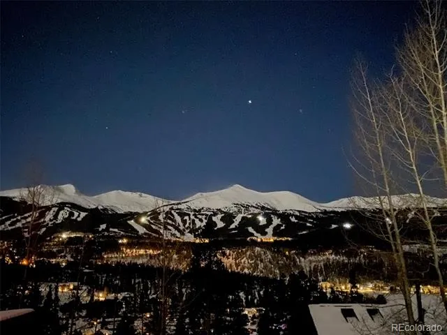 9800 Ryan Gulch Road #302 Silverthorne, CO 80498