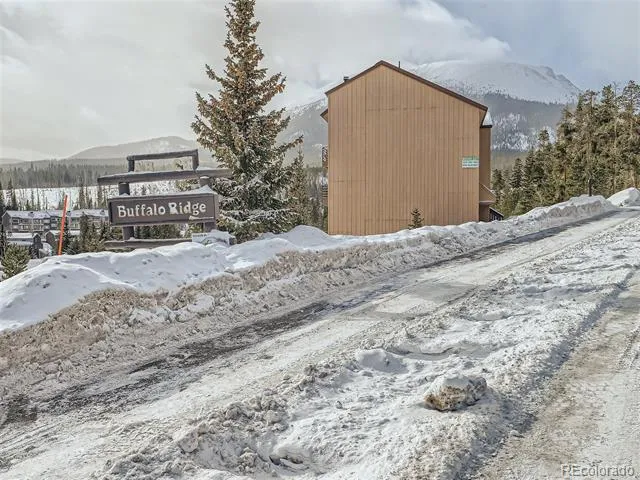 9800 Ryan Gulch Road #302 Silverthorne, CO 80498