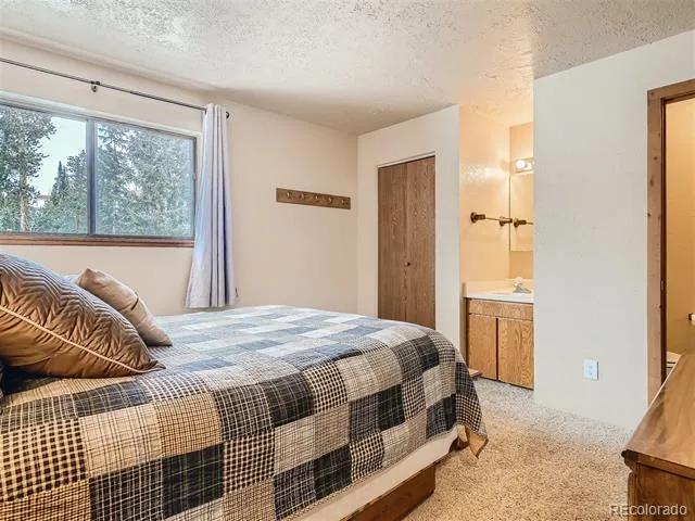 9800 Ryan Gulch Road #302 Silverthorne, CO 80498