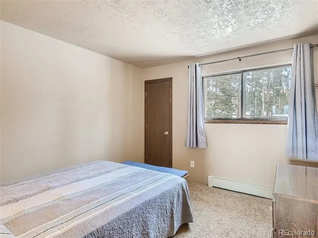 9800 Ryan Gulch Road #302 Silverthorne, CO 80498