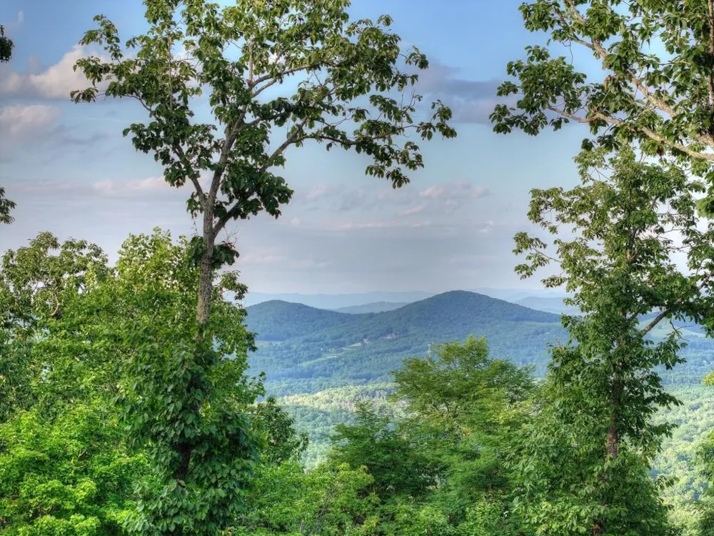 224 Eagle Ridge Morganton, GA 30560