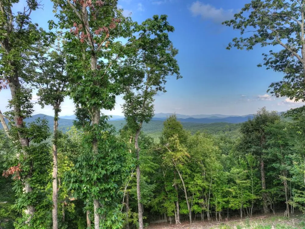 224 Eagle Ridge Morganton, GA 30560