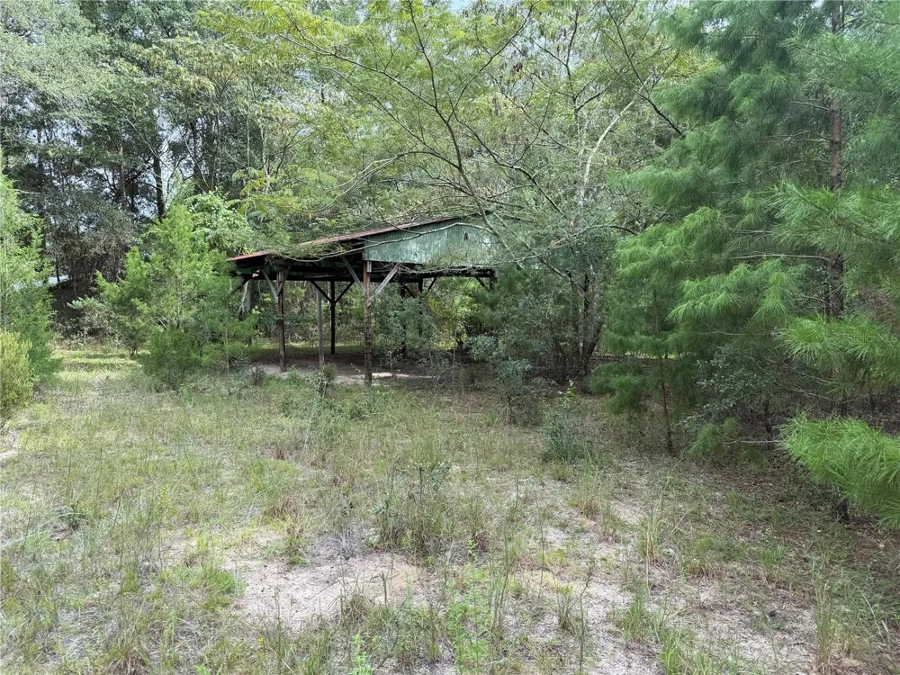 11590 NE 88TH LANE Bronson, FL 32621