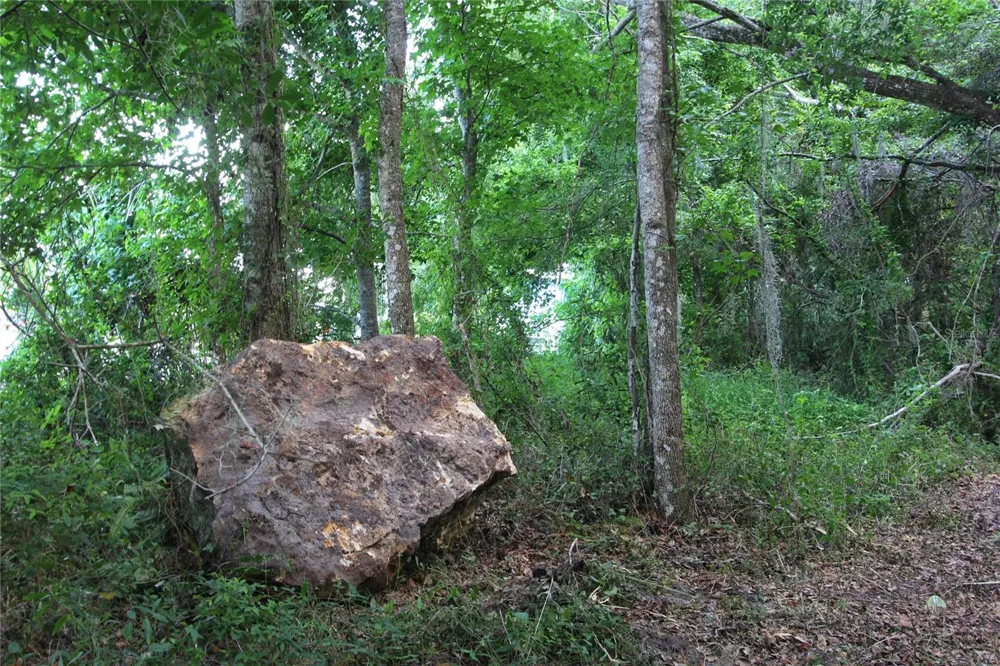 TBD CR 526 Sumterville, FL 33585