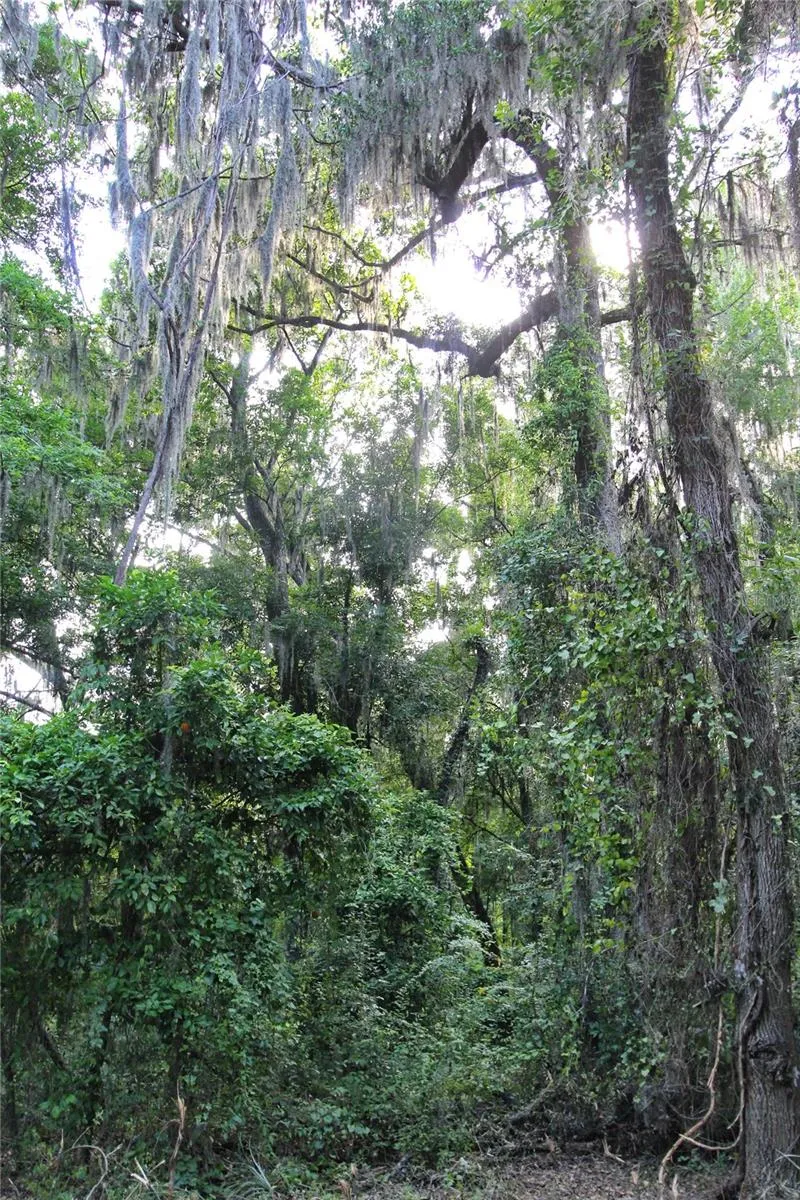 TBD CR 526 Sumterville, FL 33585