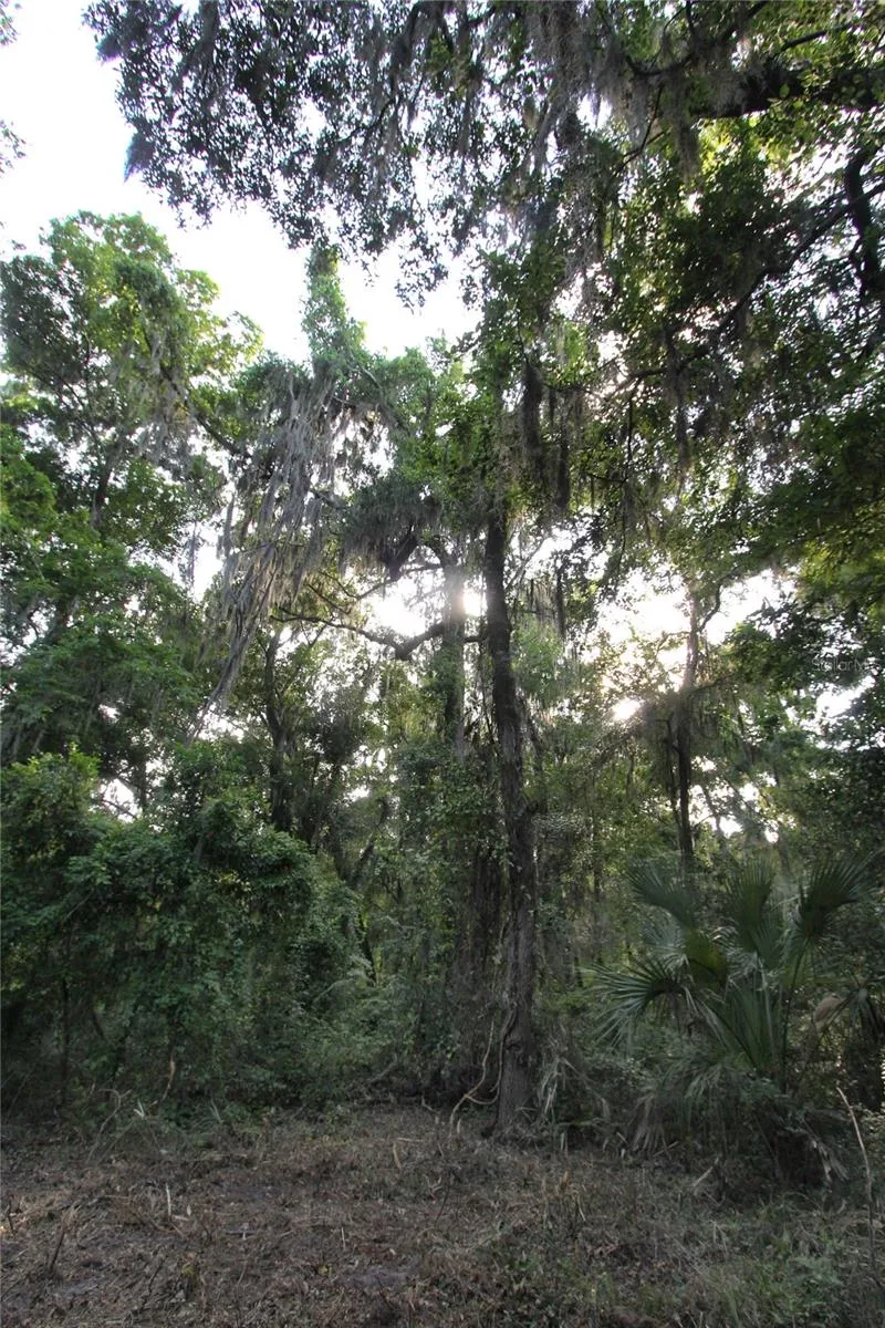 TBD CR 526 Sumterville, FL 33585