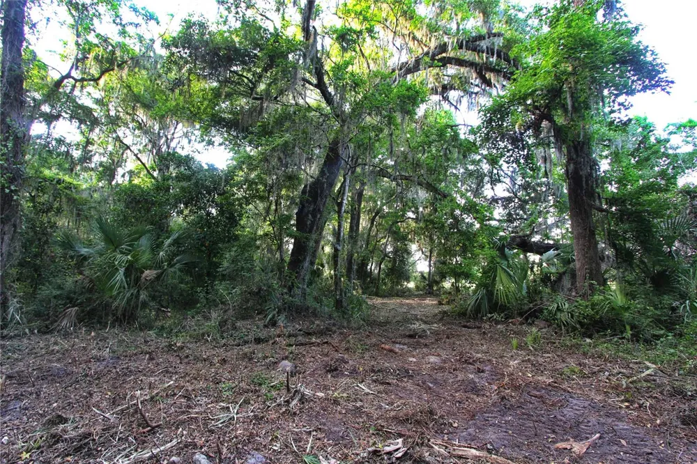 TBD CR 526 Sumterville, FL 33585
