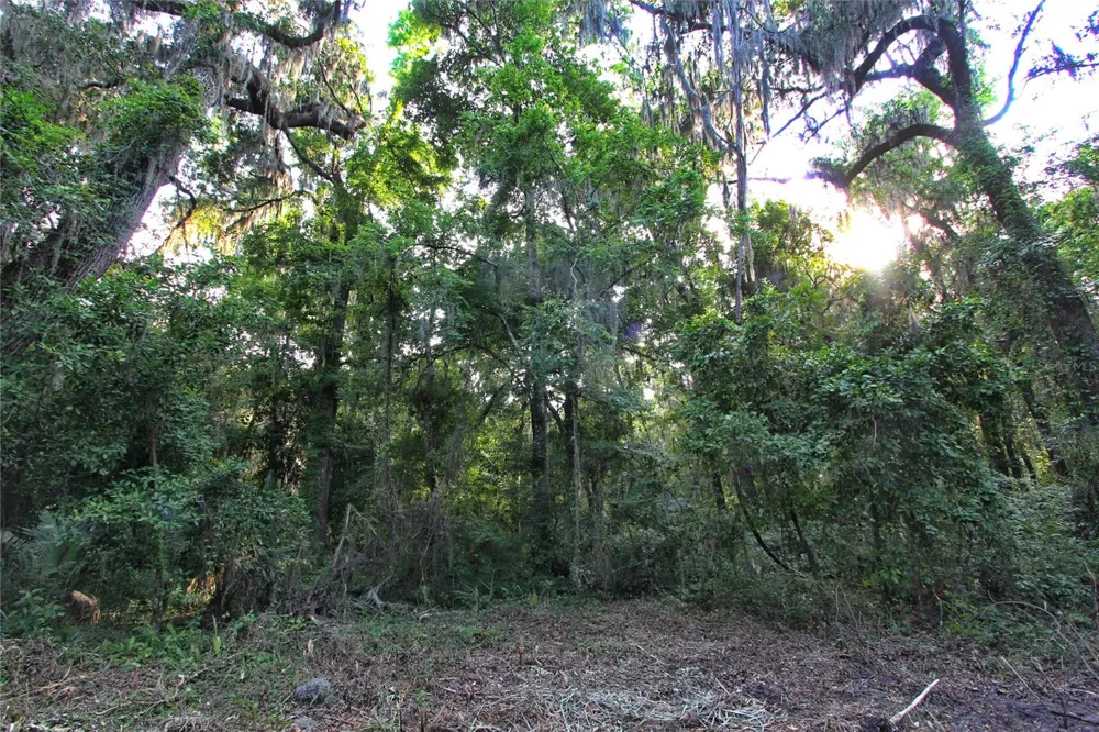 TBD CR 526 Sumterville, FL 33585
