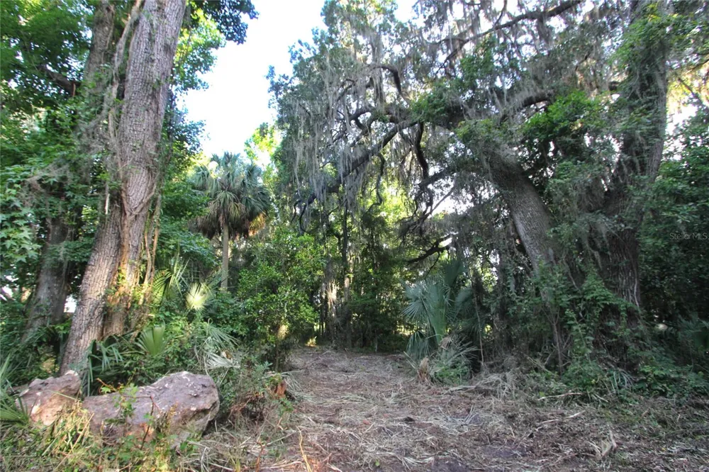 TBD CR 526 Sumterville, FL 33585