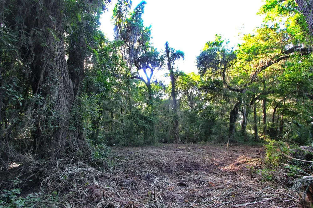 TBD CR 526 Sumterville, FL 33585