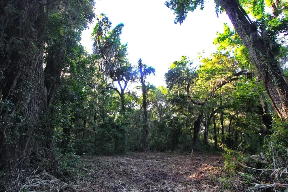 TBD CR 526 Sumterville, FL 33585