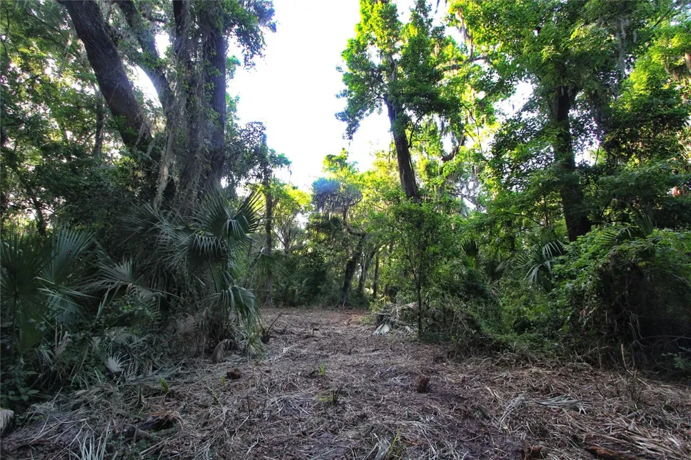 TBD CR 526 Sumterville, FL 33585