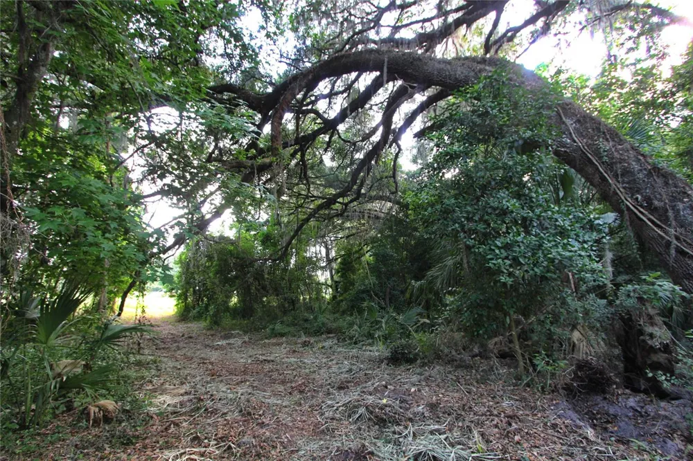 TBD CR 526 Sumterville, FL 33585