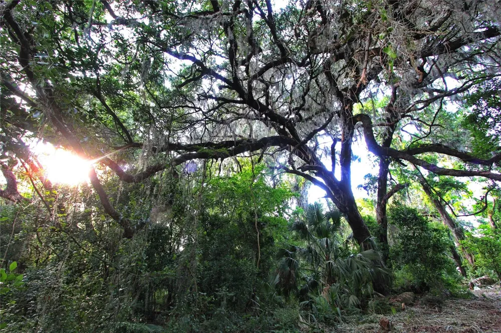 TBD CR 526 Sumterville, FL 33585