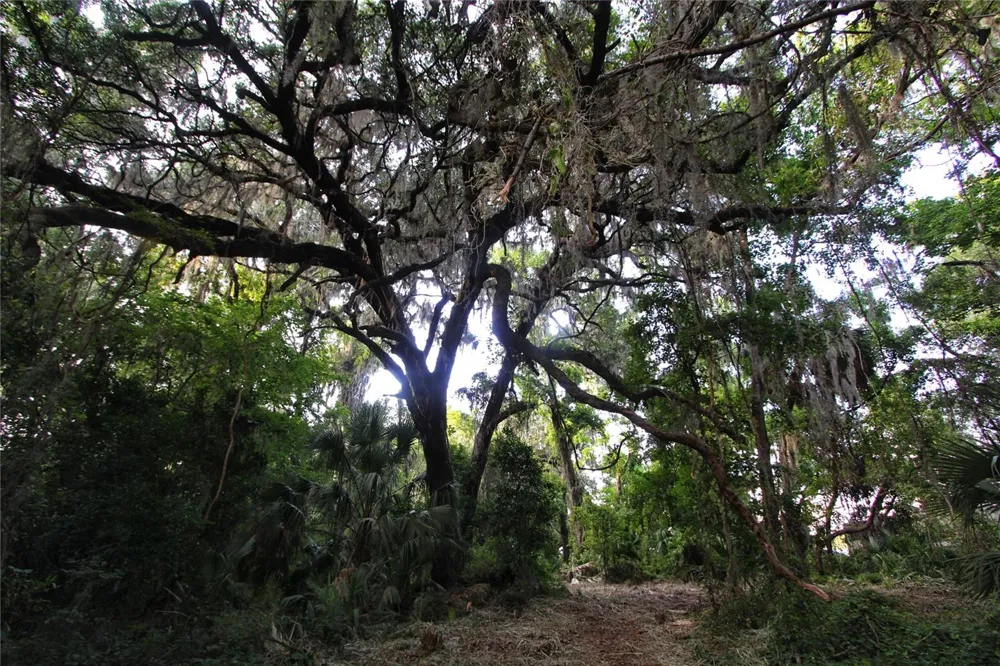 TBD CR 526 Sumterville, FL 33585