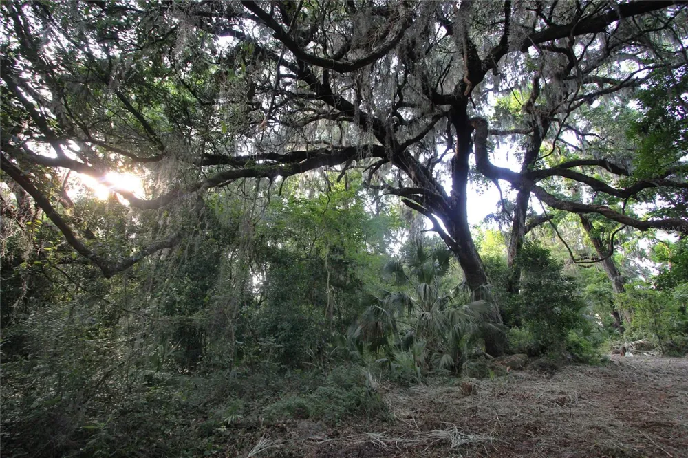 TBD CR 526 Sumterville, FL 33585