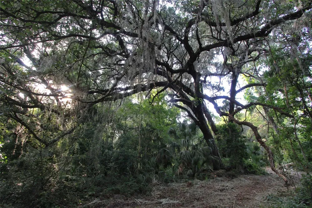 TBD CR 526 Sumterville, FL 33585