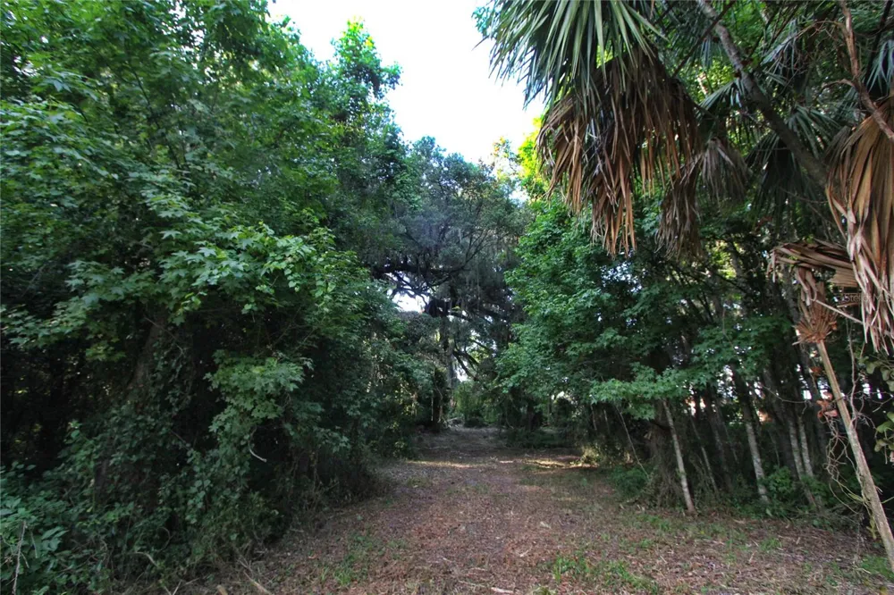 TBD CR 526 Sumterville, FL 33585