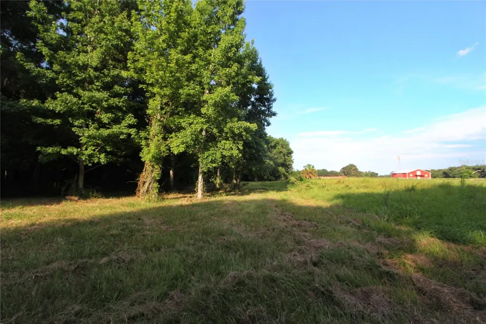 TBD CR 526 Sumterville, FL 33585