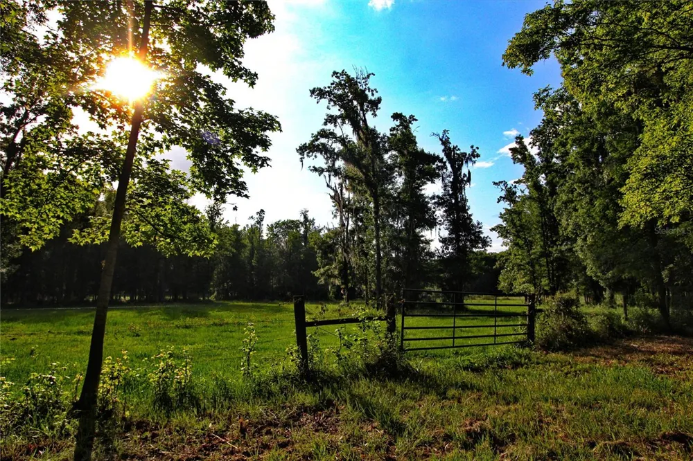 TBD CR 526 Sumterville, FL 33585