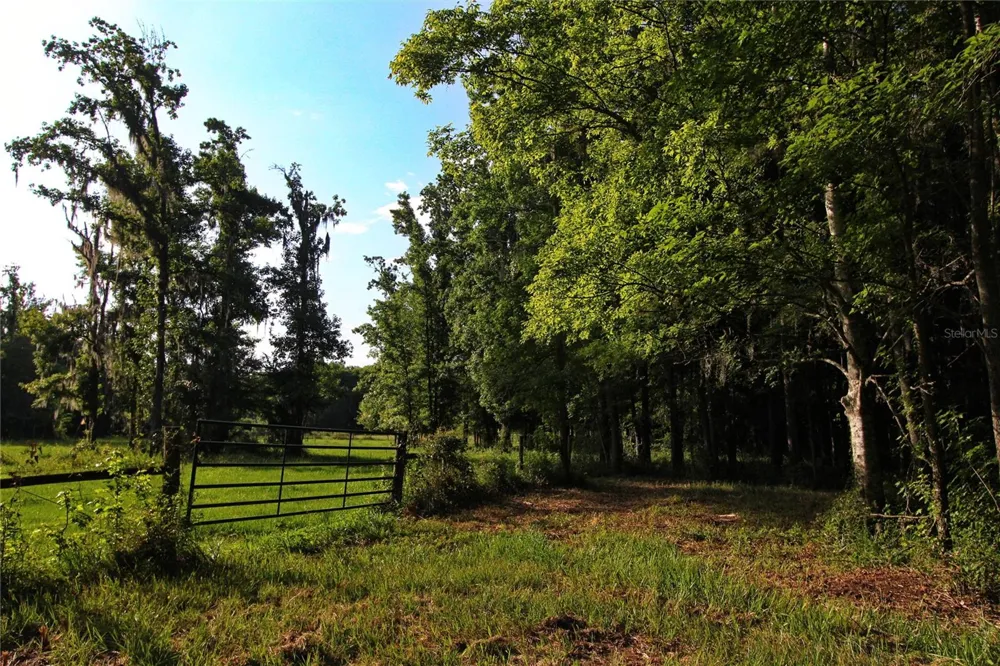 TBD CR 526 Sumterville, FL 33585