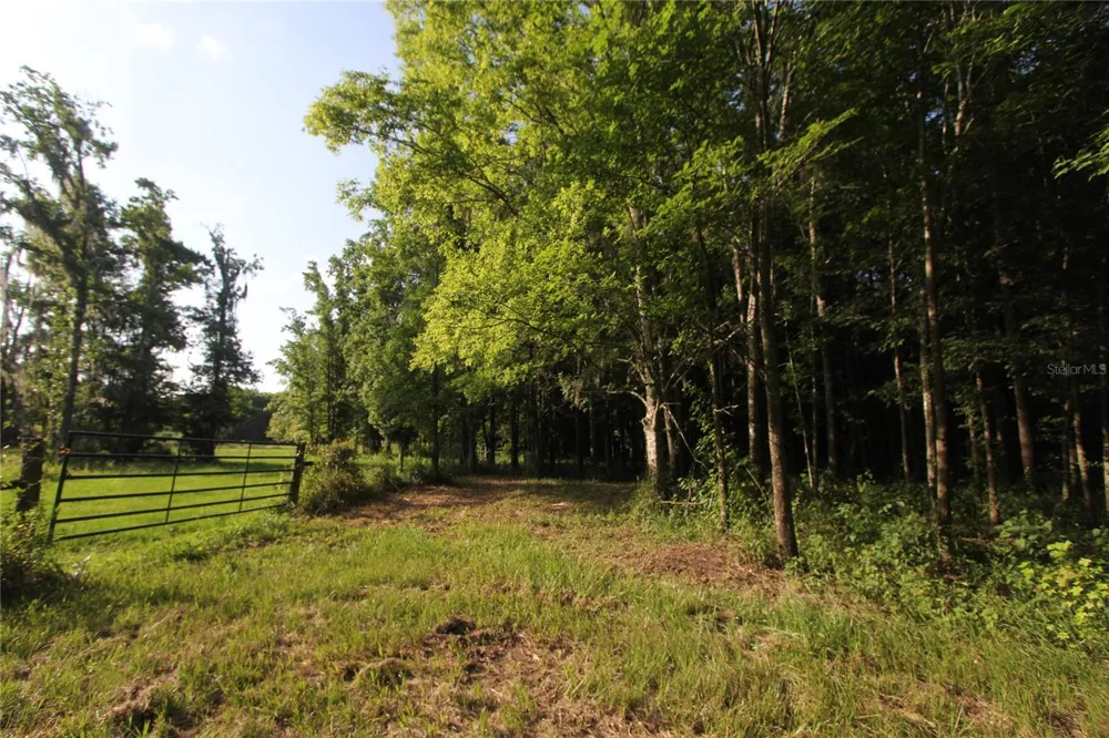 TBD CR 526 Sumterville, FL 33585